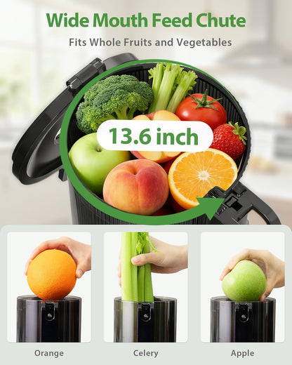 Juicer Machines - Wide Mouth Feed Chute with Self Feeding Hands-Free Design - Cold Press Juicer for Vegetables and Fruits - Juice Extractor Machine High Juice Yield - With Brush