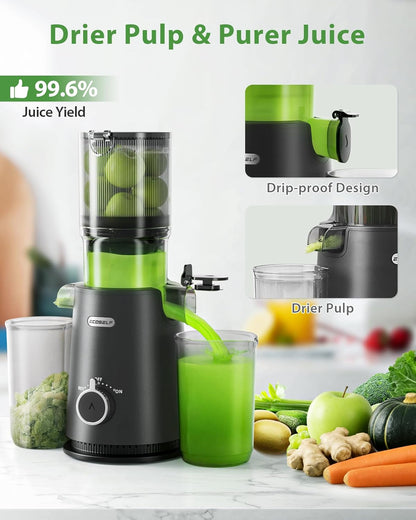 Juicer Machines - Wide Mouth Feed Chute with Self Feeding Hands-Free Design - Cold Press Juicer for Vegetables and Fruits - Juice Extractor Machine High Juice Yield - With Brush
