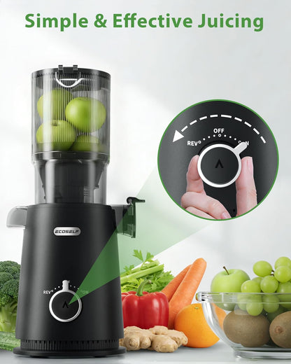 Juicer Machines - Wide Mouth Feed Chute with Self Feeding Hands-Free Design - Cold Press Juicer for Vegetables and Fruits - Juice Extractor Machine High Juice Yield - With Brush
